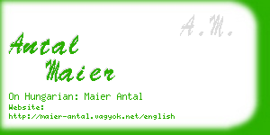 antal maier business card